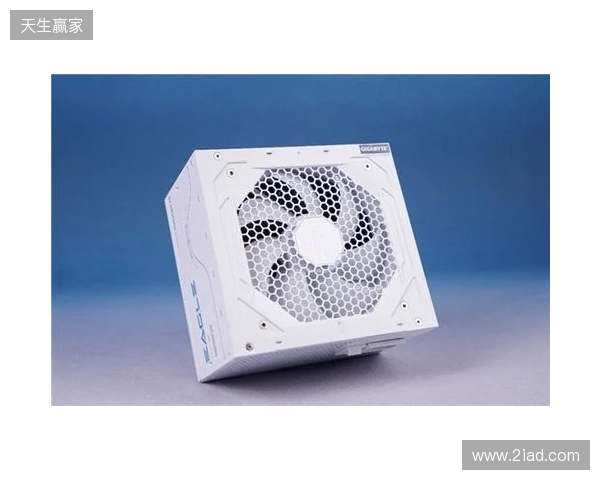 黑白双鹰，白金降临：技嘉猎鹰 冰猎鹰白金电源4月27日开售